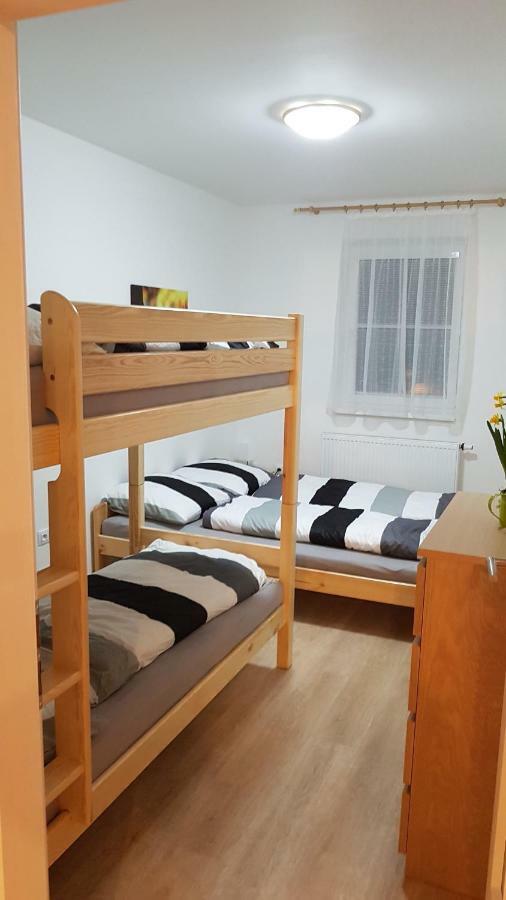 Alfa 11 Appartement Černý Důl